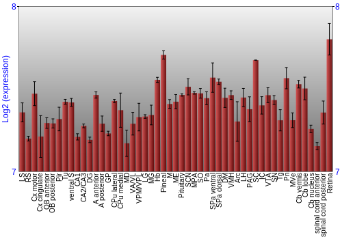 Expression graph