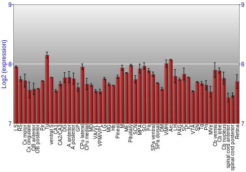 Expression graph