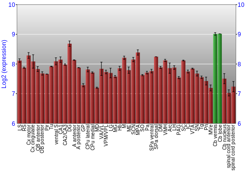 Multi-state expression graph