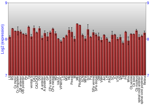 Expression graph