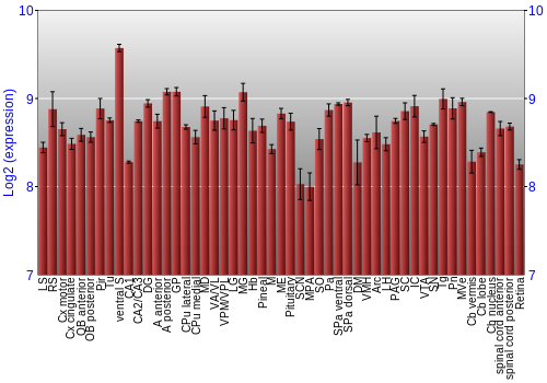 Expression graph