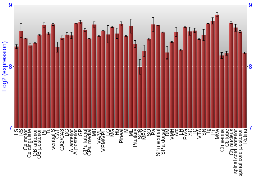 Expression graph