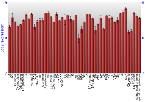 Multi-state expression graph