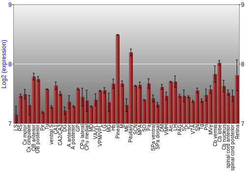 Expression graph