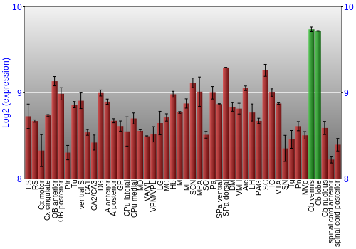 Multi-state expression graph