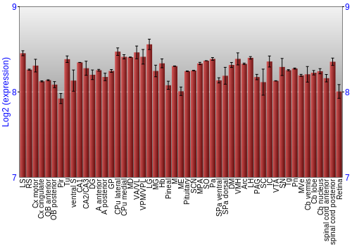 Expression graph