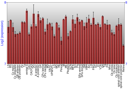 Expression graph