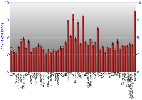 Expression graph