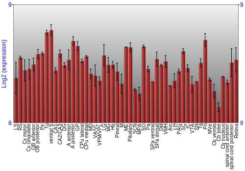 Expression graph