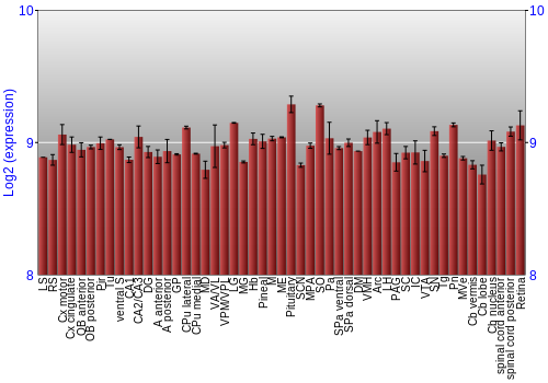 Expression graph