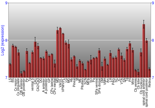 Expression graph