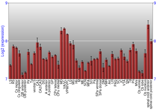 Multi-state expression graph