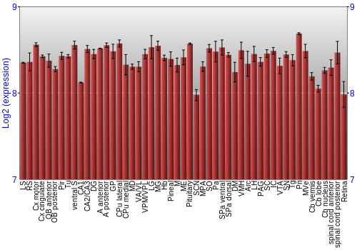 Expression graph