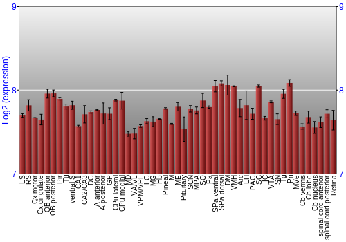 Expression graph