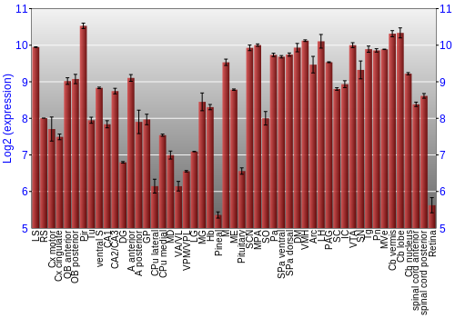Expression graph