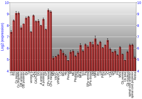 Expression graph