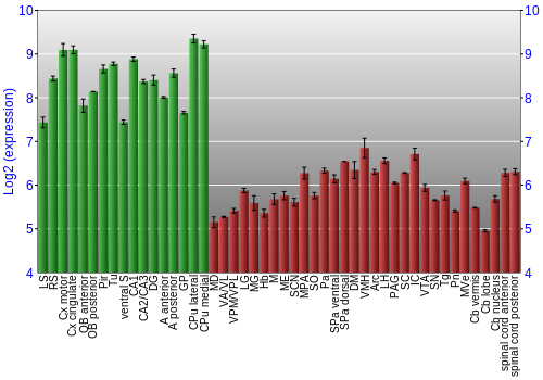 Multi-state expression graph