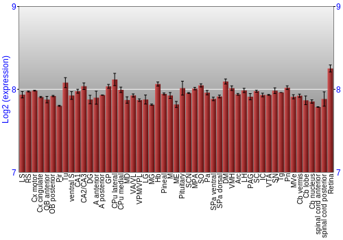 Expression graph