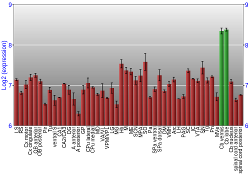 Multi-state expression graph