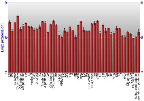 Multi-state expression graph