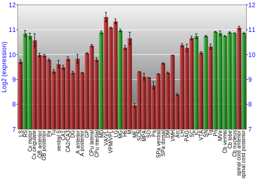 Multi-state expression graph