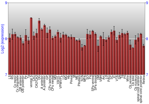Expression graph
