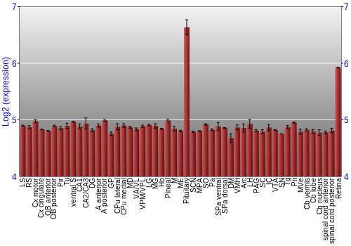 Expression graph