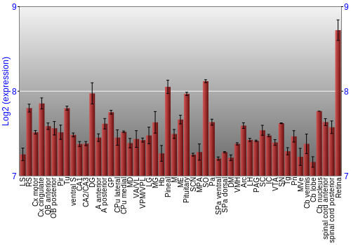 Expression graph