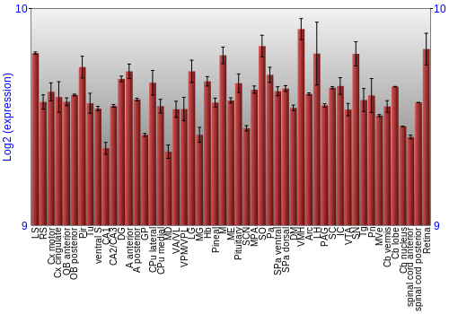 Expression graph