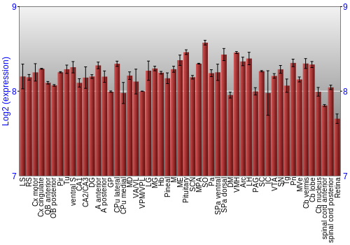 Expression graph