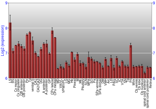 Expression graph