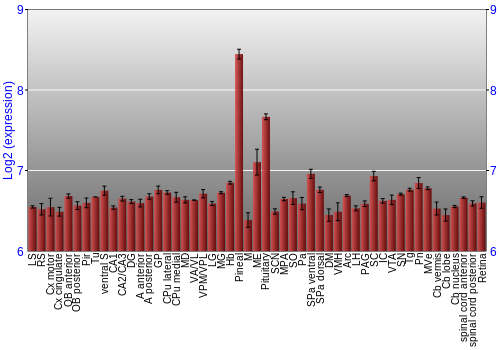 Expression graph