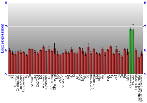 Multi-state expression graph