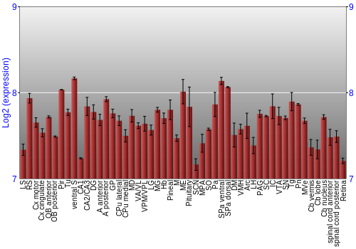 Expression graph