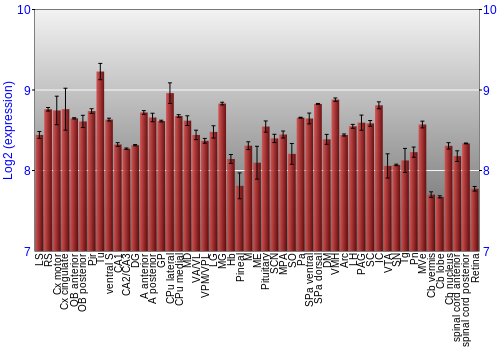 Expression graph