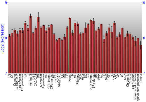 Expression graph