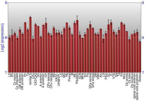 Expression graph