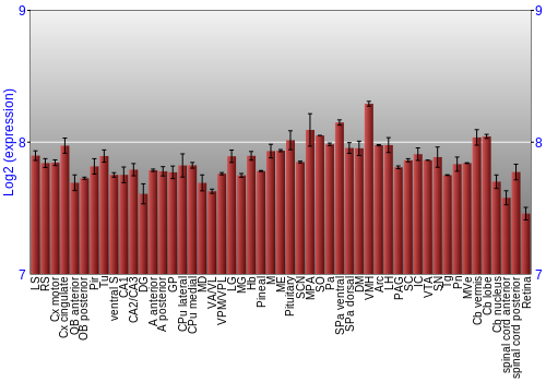 Expression graph