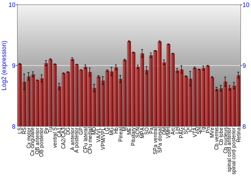 Expression graph