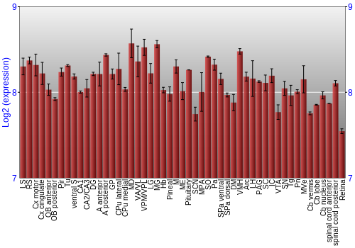 Expression graph