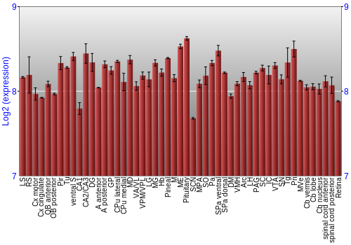 Expression graph