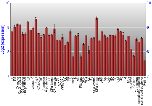 Expression graph