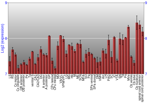 Multi-state expression graph