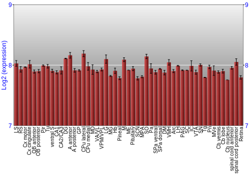 Expression graph