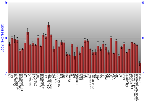 Expression graph