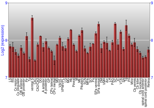 Expression graph