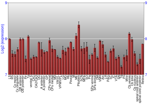 Expression graph