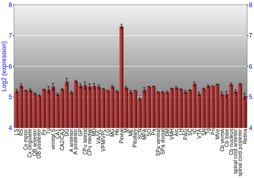 Expression graph