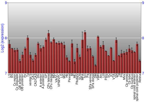 Expression graph