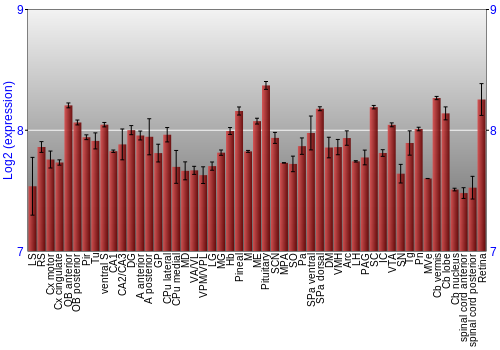 Expression graph